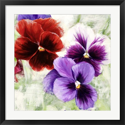 Framed Pansies I Print