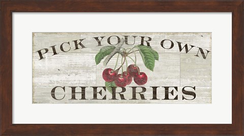 Framed Farm Fresh Cherries Print