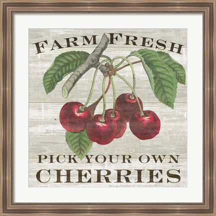 Framed Farm Fresh Cherries I Print