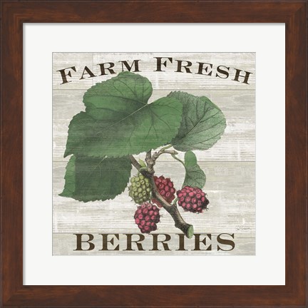Framed Farm Fresh Berries I Print