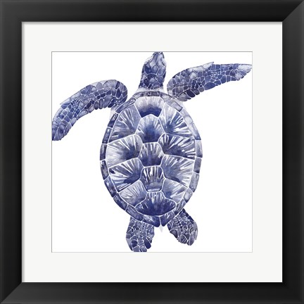 Framed Marine Turtle II Print