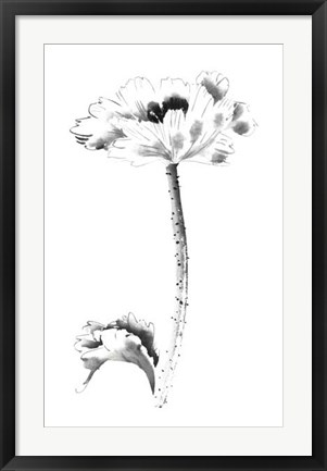 Framed Ink Poppy Print