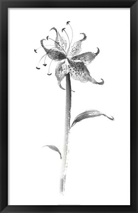 Framed Ink Tiger Lily Print