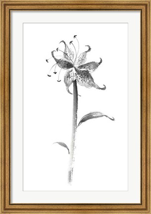 Framed Ink Tiger Lily Print