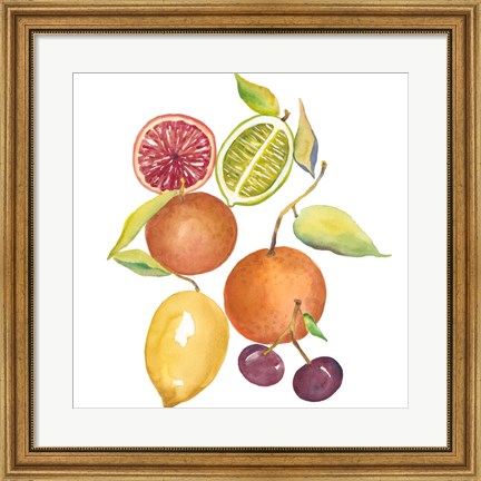 Framed Harvest Medley III Print