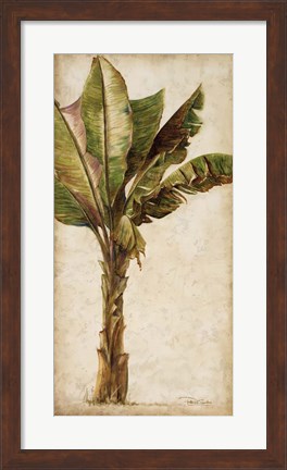 Framed Tropic Banana I Print