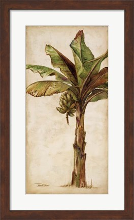 Framed Tropic Banana II Print