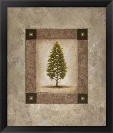 Framed European Pine I Print