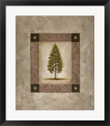 Framed European Pine I Print