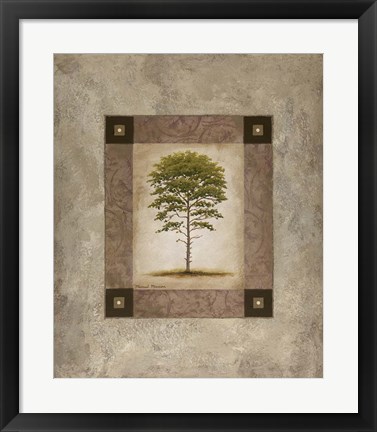 Framed European Pine II Print