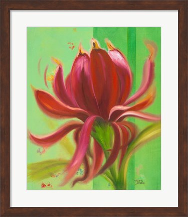 Framed Exotica I Print