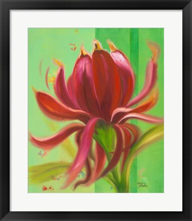 Framed Exotica I Print