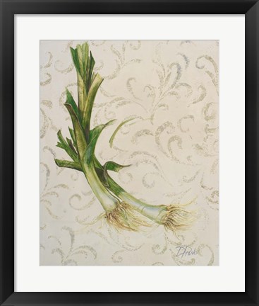 Framed Botanica II Print