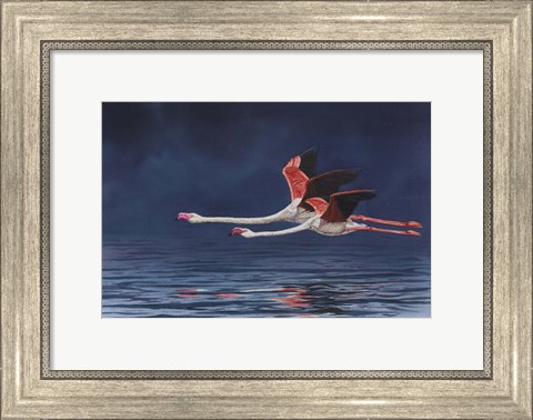 Framed Flying Flamingos Print