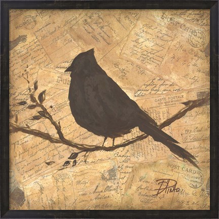 Framed Bird Silhouette II Print