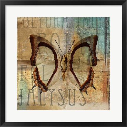 Framed Polyurabutterfly II Print