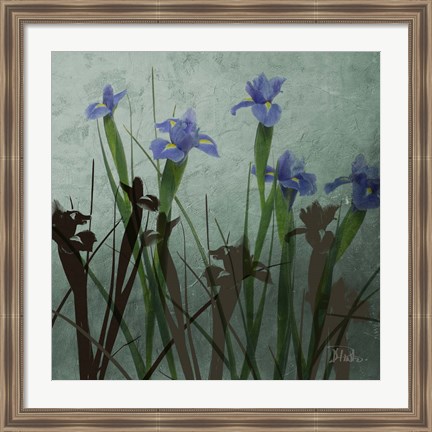 Framed Blue Irises I Print