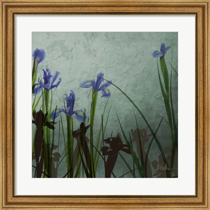 Framed Blue Irises II Print