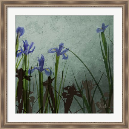 Framed Blue Irises II Print