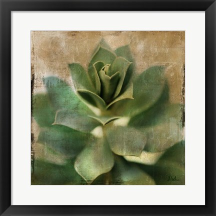 Framed Succulent I Print