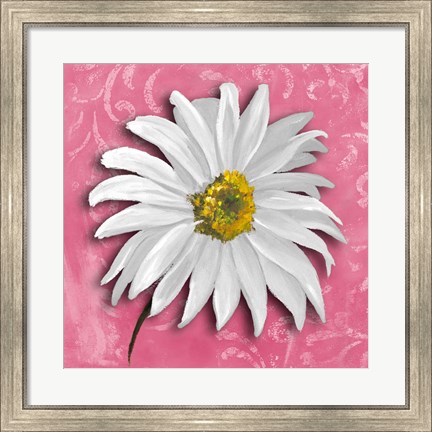 Framed Blooming Daisy III Print