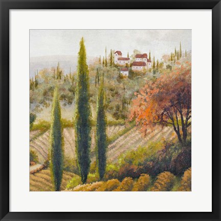 Framed Tuscany Vineyard II Print