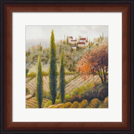 Framed Tuscany Vineyard II Print