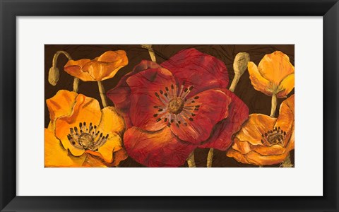 Framed Dazzling Poppies I (black background) Print