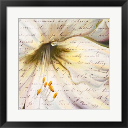 Framed Lily Script II Print