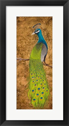 Framed Peacocks I Print