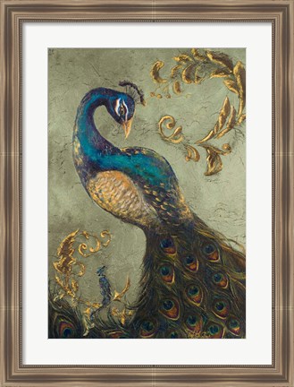 Framed Peacock on Sage II Print