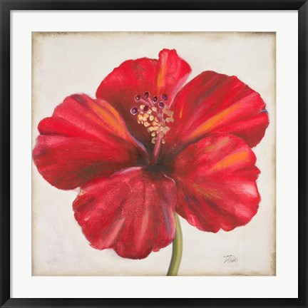 Framed Red Hibiscus Print