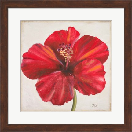 Framed Red Hibiscus Print