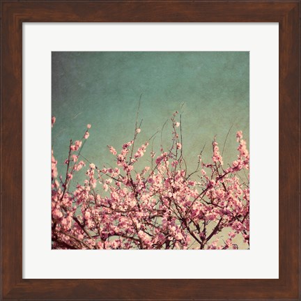 Framed Springtime II Print