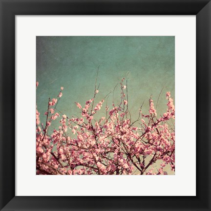 Framed Springtime II Print