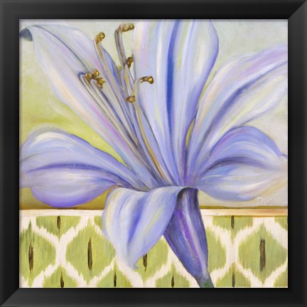 Framed African Lily I Print