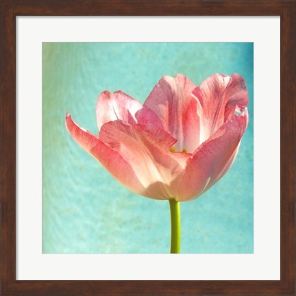 Framed Pink Tulip Print