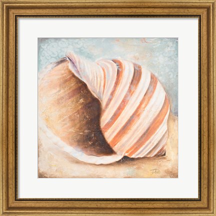 Framed Seashell Collection I Print