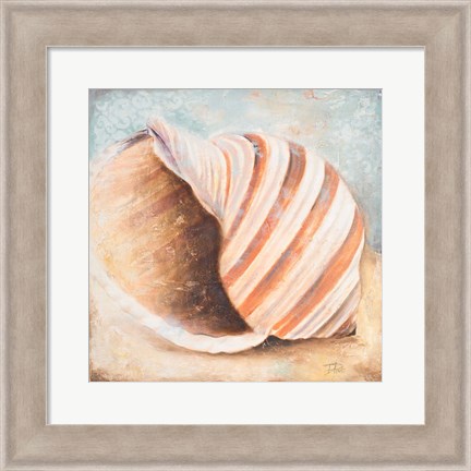 Framed Seashell Collection I Print