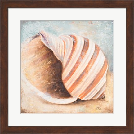 Framed Seashell Collection I Print