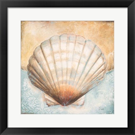 Framed Seashell Collection III Print