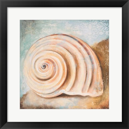 Framed Seashell Collection IV Print