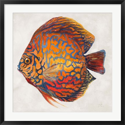 Framed Little Fish II Print