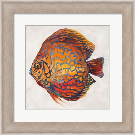 Framed Little Fish II Print