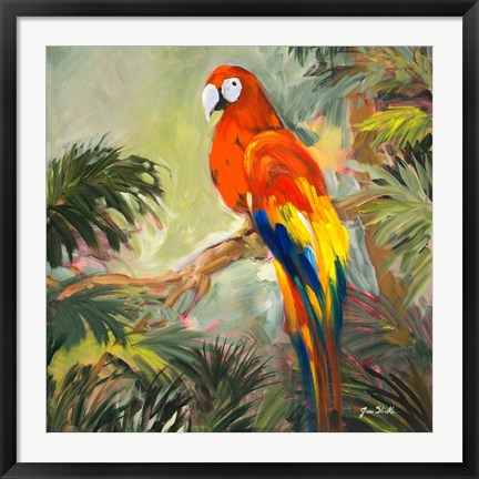 Framed Parrots at Bay I Print