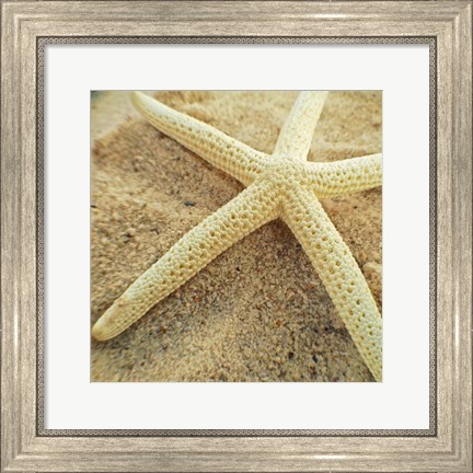 Framed Starfish Print