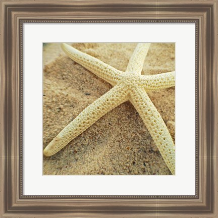 Framed Starfish Print