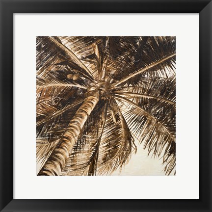 Framed Coconut Palm II Print