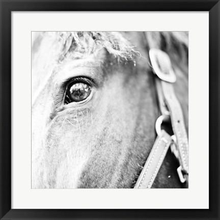 Framed In the Stable I Print