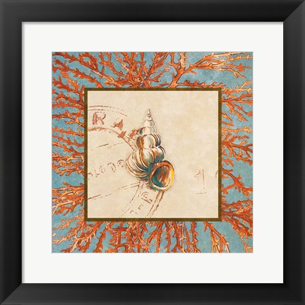 Framed Coral Medley Shell III Print